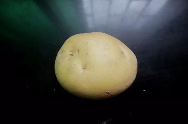 1502347702123353.jpg 4.jpg