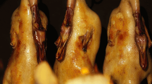 1575428472602305.gif 6.gif